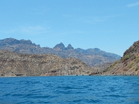 DSCN4982