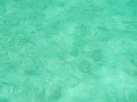 DSCN4994