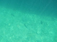 DSCN4995