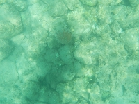 DSCN5001
