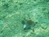 DSCN5004