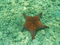 DSCN5005
