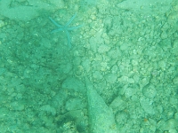 DSCN5008