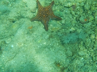 DSCN5009