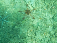 DSCN5011