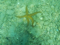 DSCN5013