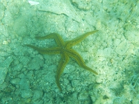 DSCN5014
