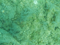 DSCN5015