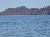 P1040827