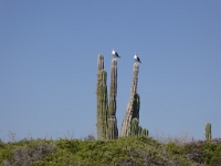 P1040859