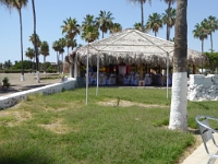 P1040866
