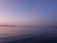 P1270392