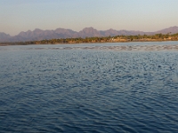 P1270418