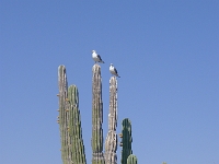 P1270424