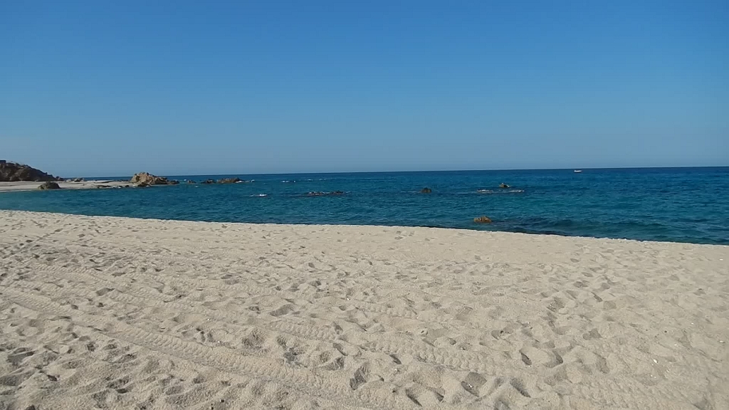 DSCN5039