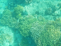 DSCN5018