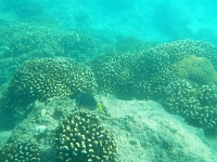 DSCN5021