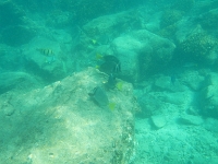 DSCN5022