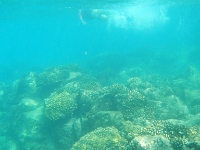 DSCN5029