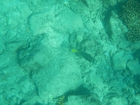 DSCN5030