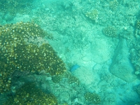DSCN5031