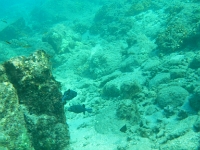 DSCN5032