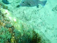DSCN5034