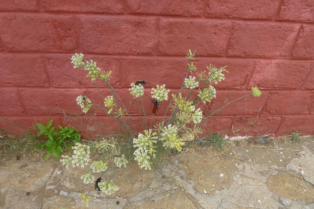 P1270041