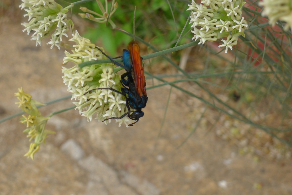 P1270044