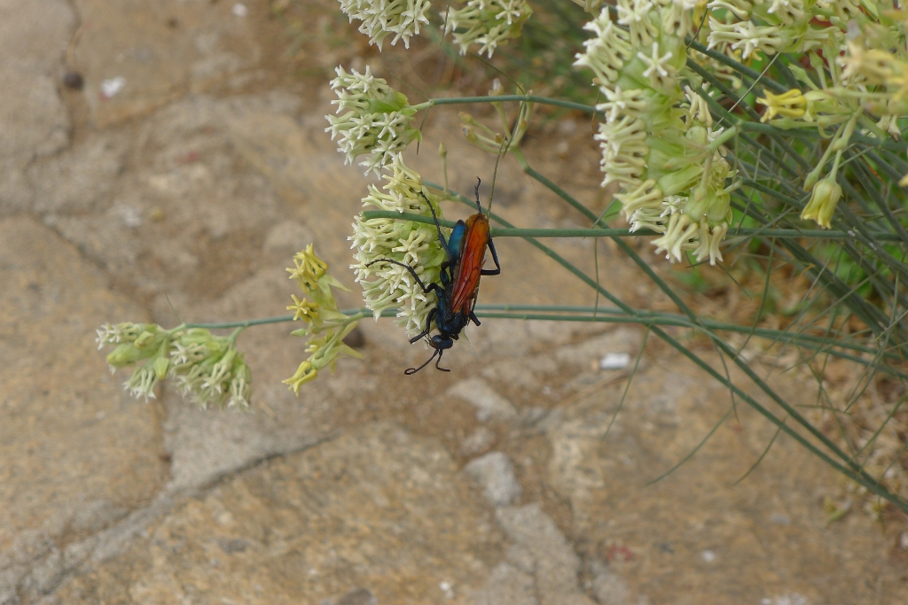 P1270046