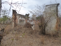 P1040490