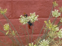 P1270042
