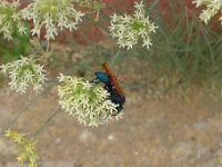 P1270043