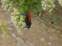 P1270044