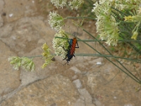 P1270046
