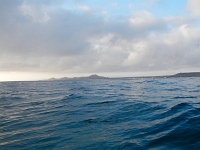 DSCN4875