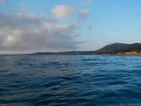 DSCN4879