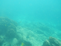 DSCN4881