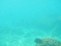 DSCN4882