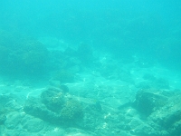 DSCN4884