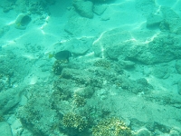 DSCN4885