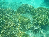 DSCN4889