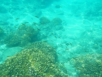 DSCN4893