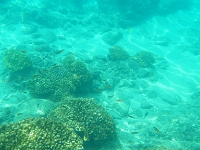 DSCN4894