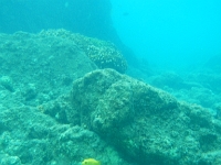 DSCN4896