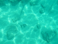 DSCN4898