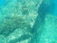 DSCN4899