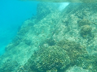 DSCN4900