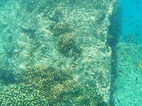 DSCN4901
