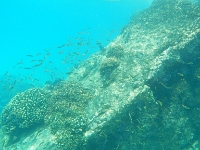 DSCN4904